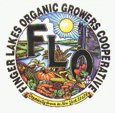 image of FLO logo